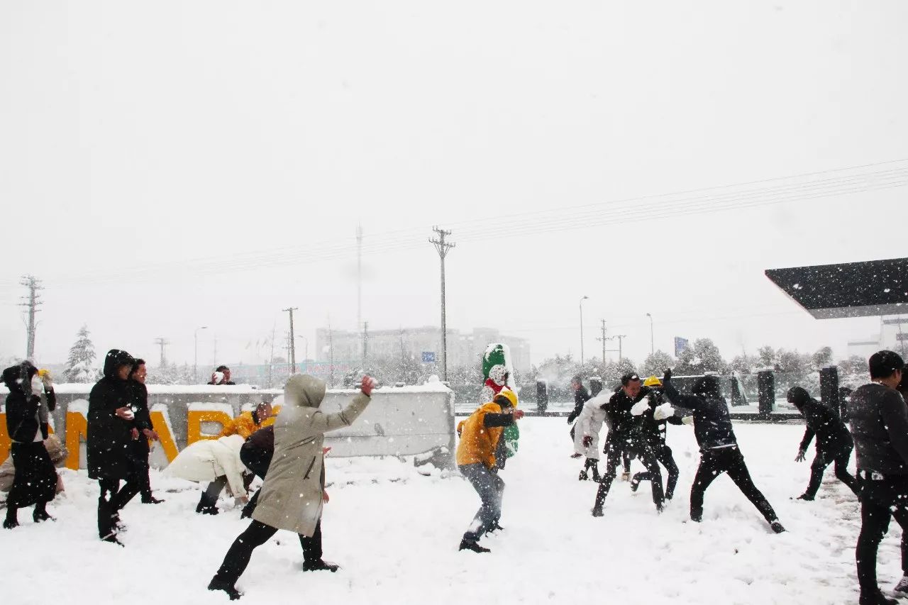 凯时|AG(Asia Gaming)优质运营商